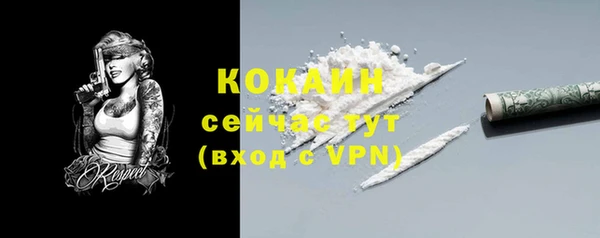 apvp Дмитровск