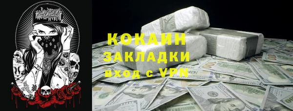 apvp Дмитровск