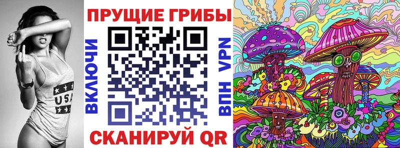 Галлюциногенные грибы Psilocybe  Купить  Салехард 